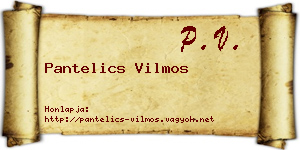 Pantelics Vilmos névjegykártya